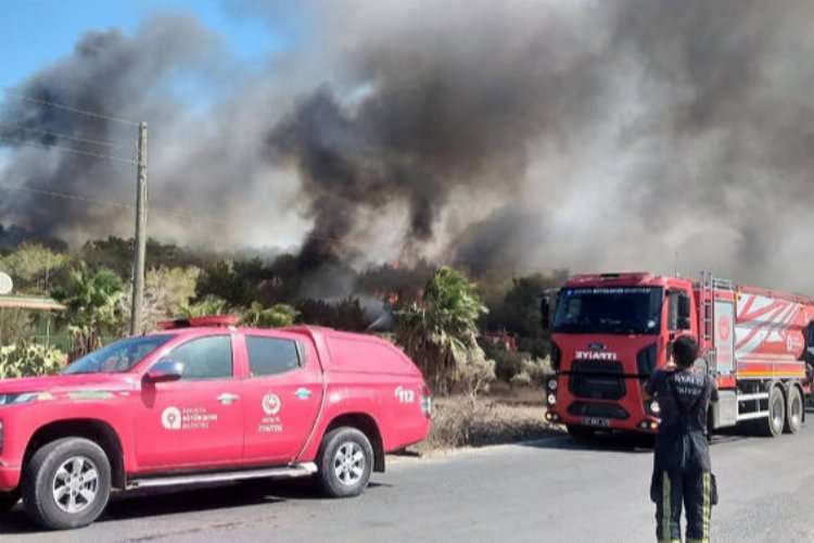 yangin Mersin ormanları alev alev yanıyor