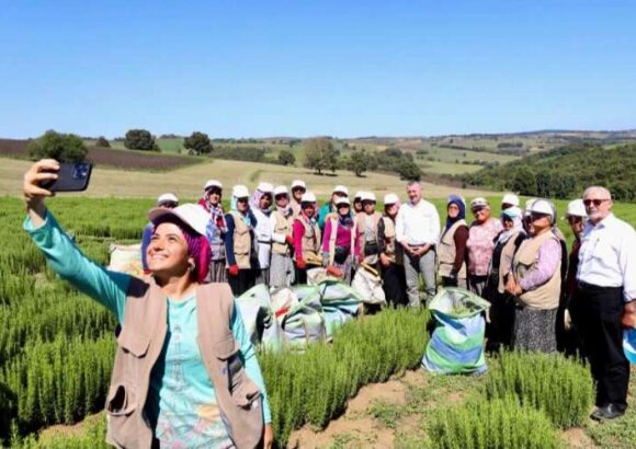 Kocaeli’nde tıbbı aromatik merkez